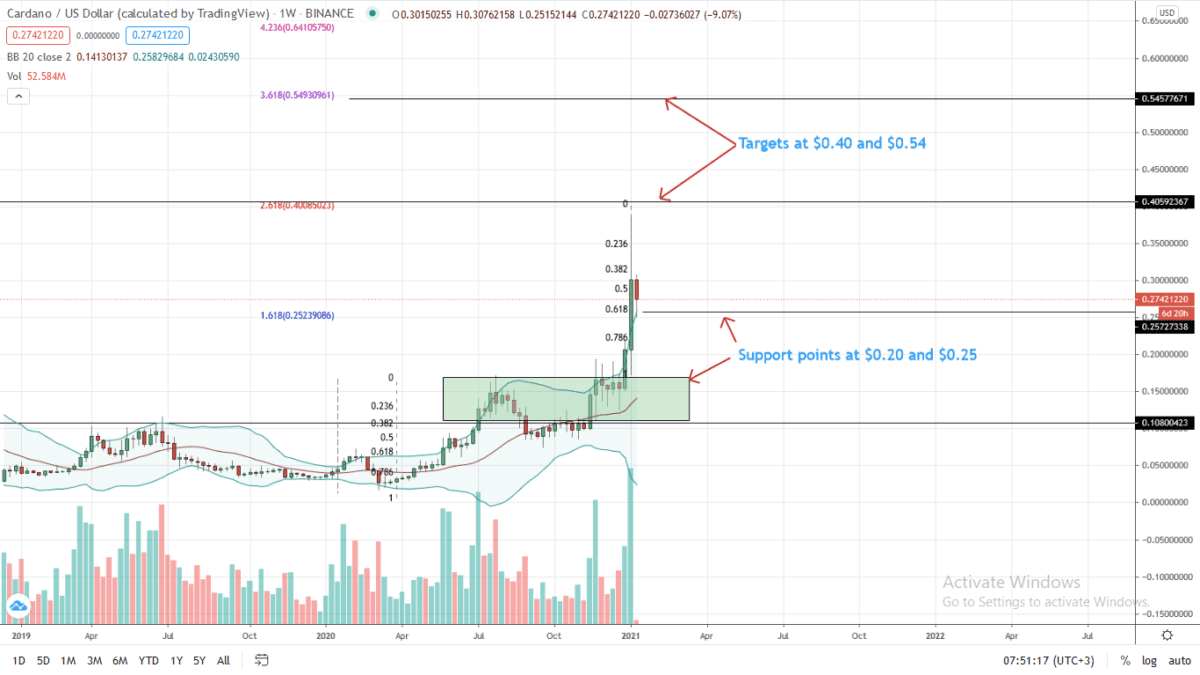 Cardano Price Weekly Chart For January 11