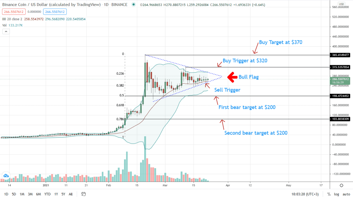 Binance Coin Price Daily Chart For March 22