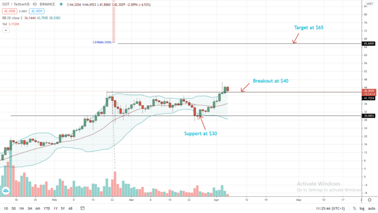 Polkadot Price Daily Chart For April 5