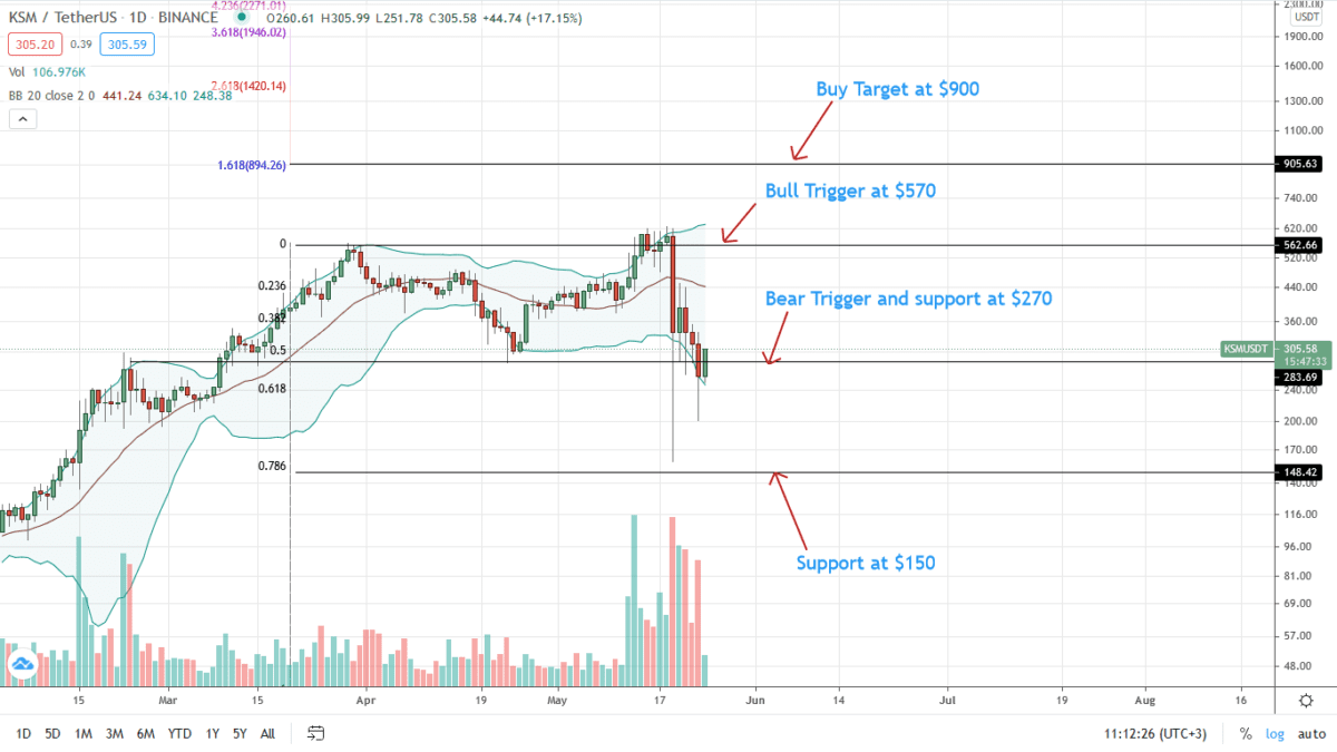 Kusama Price Daily Chart For May 24