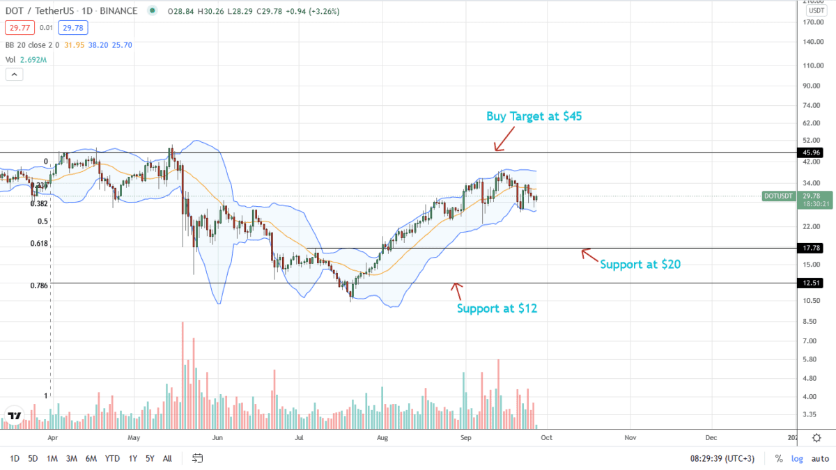 Polkadot Daily Chart For September