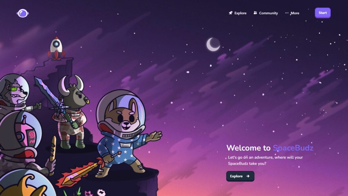 Spacebudz Website