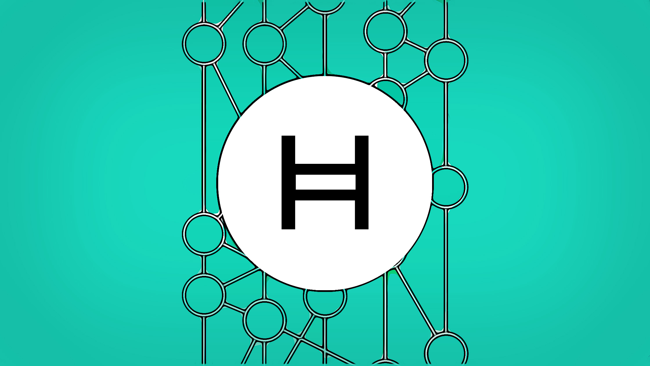 What is Hedera Hashgraph and the Purpose of HBAR? | Hodlin