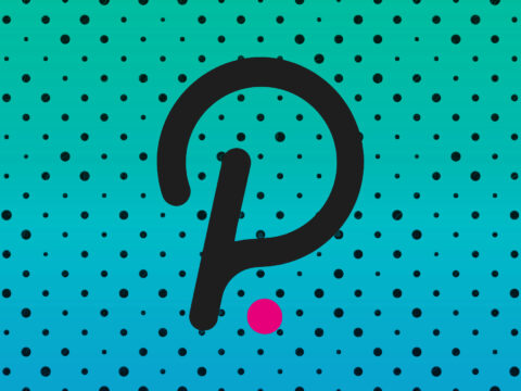 What Is Polkadot Dot