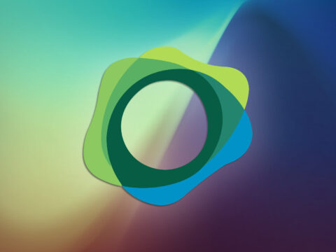 What Is Paxos Standard Token