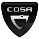 Cosanta icon