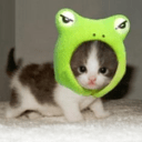 PEPECAT icon