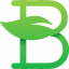 Bitcoin Green icon