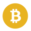 Bitcoin SV icon