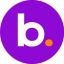 BNS Token icon