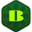 BorpaToken icon