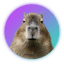 Capybara icon