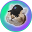 CatSolHat icon