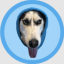 DOGWIFHOOD icon