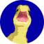 Duckereum icon