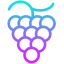 Grape Protocol icon