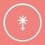 Juno Network icon