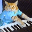 Keyboard Cat icon