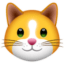 KittenFinance icon