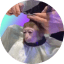 monkeyhaircut icon