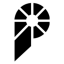 Pallapay icon