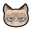 PonzioTheCat icon