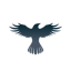Raven Protocol icon