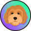 Rocky the dog icon