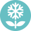 SnowBlossom icon