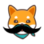 Stash Inu icon