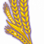 Wheat Token icon